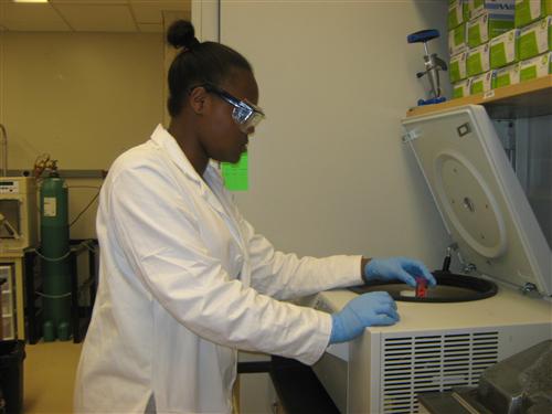 Jada Todd in Summer Research at GA TECH  